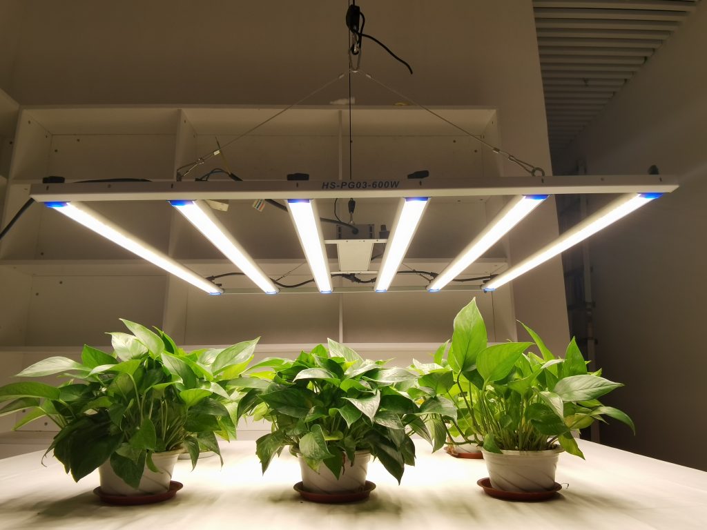 PG03 Led Grow lights increase growth efficiency 300%–Hishine Group插图