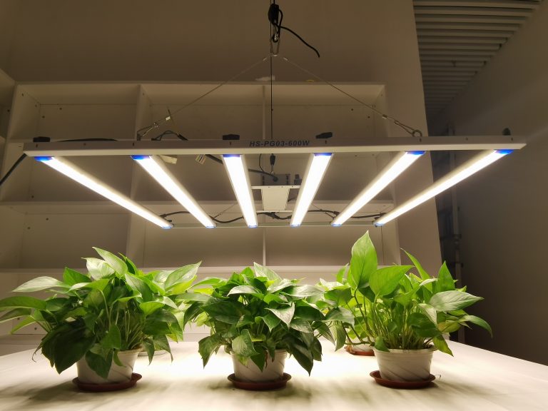 600W LED Grow Light - hishinelight