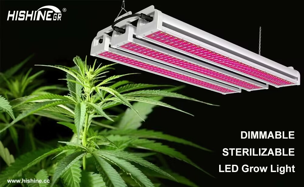 Grow light dimmable full spectrum grow led light缩略图
