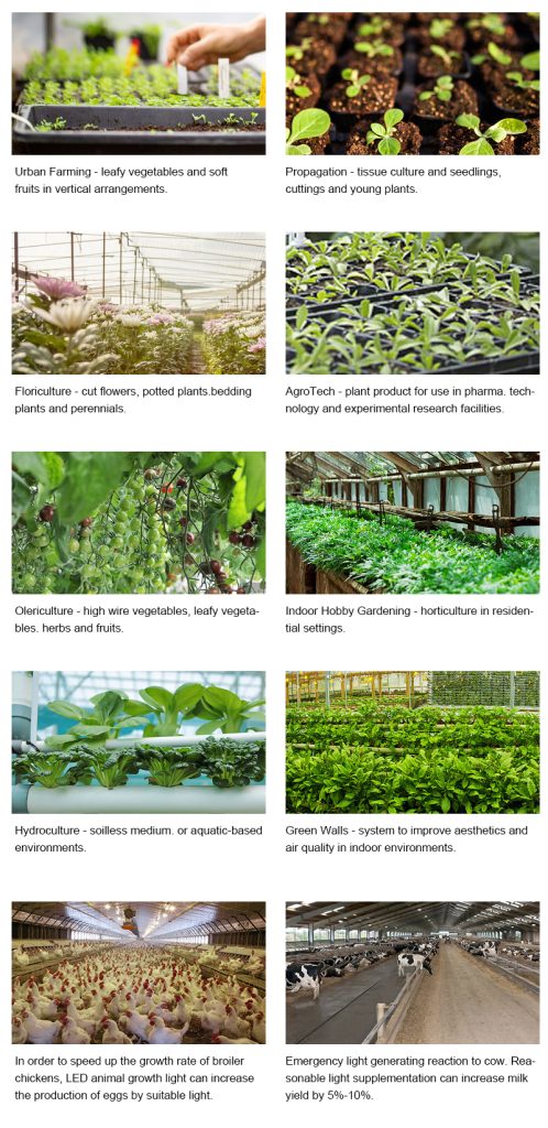 light dimmable full spectrum indoor led grow light缩略图