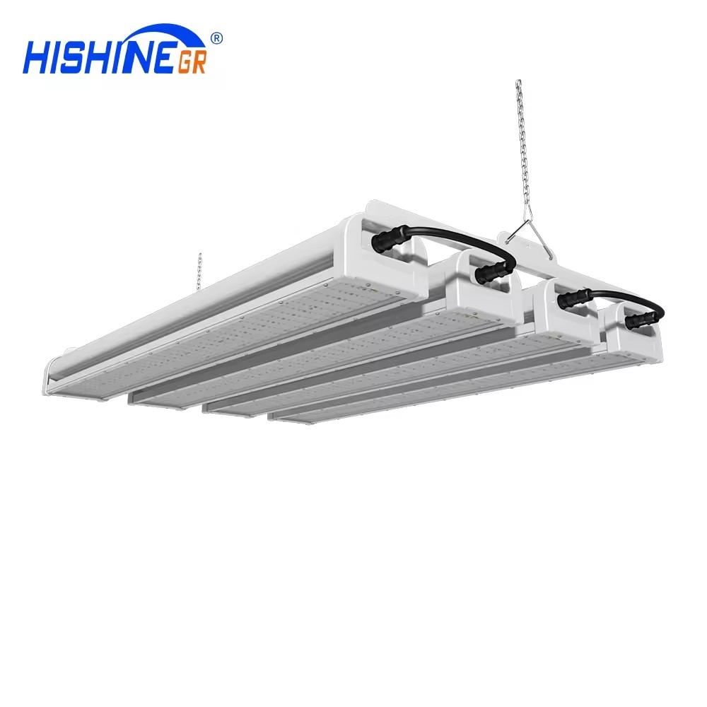 Does light affect plant photosynthesis缩略图 Does light affect plant photosynthesis缩略图