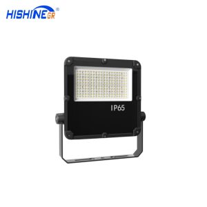 100W Billboard Floodlight
