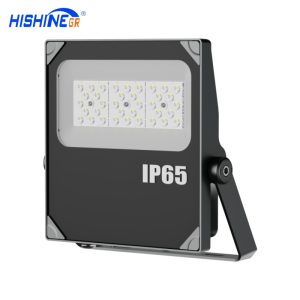 50W Floodlight Hs Commercial Outdoor Lamp